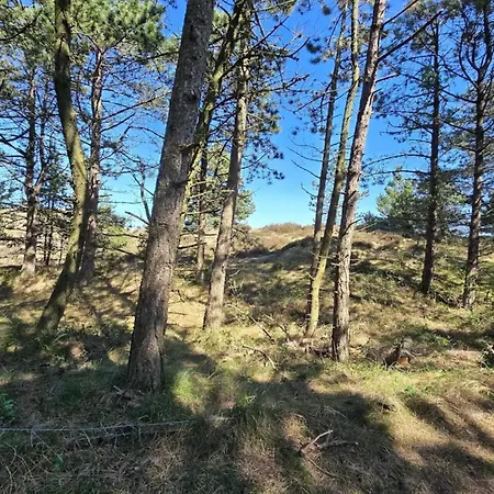 Holiday home 8 Person In Romo *