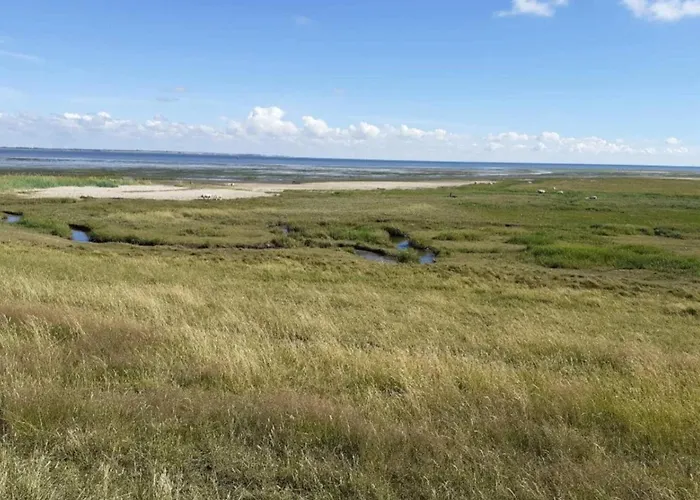 Feriehus 8 Person In Romo