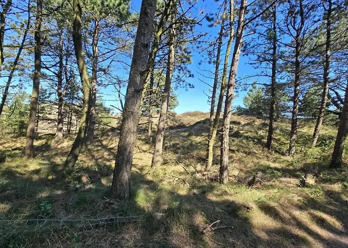 Feriehus 8 Person In Romo *